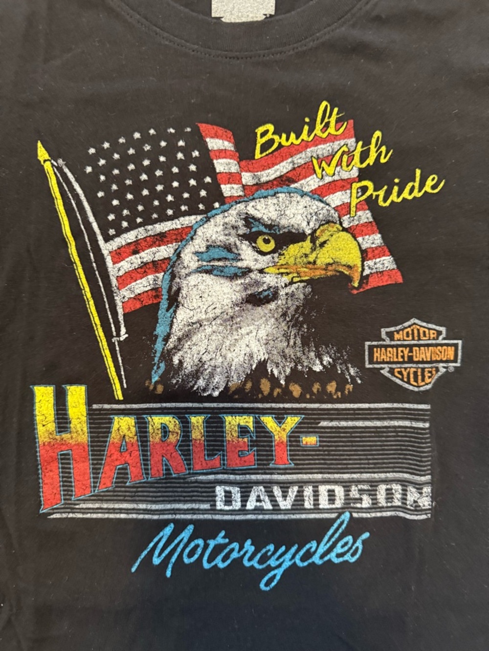 Harley-Davidson Built With Pride Eagle Graphic Tee - Black slim fit